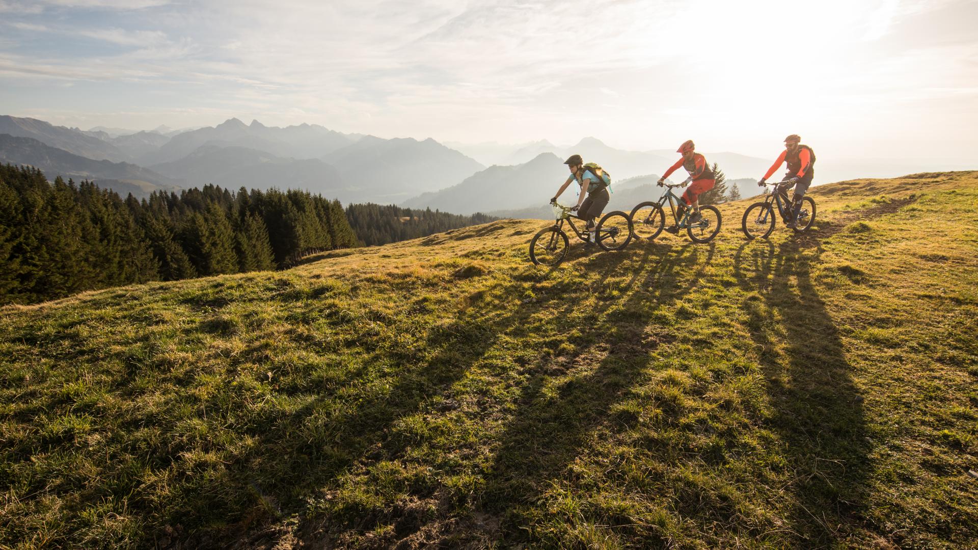 Biking, mountain biking & e-biking