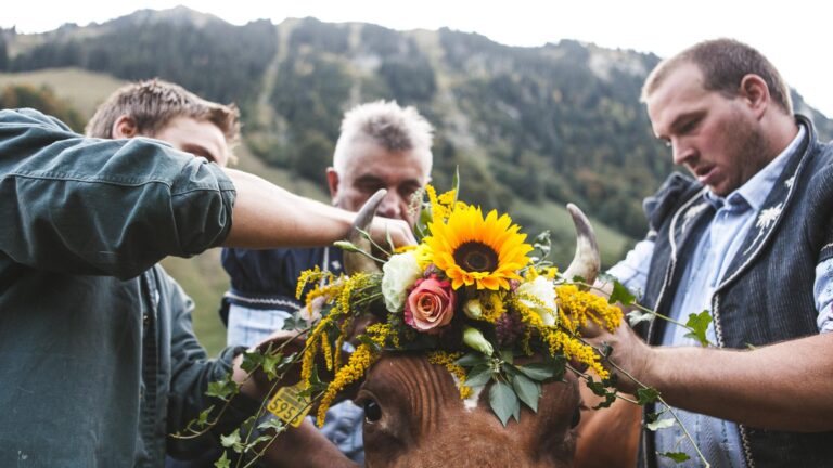Unsere Herbst- Highlights in Freiburg