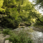 Ein Tag voller Natur & Kultur im Sensebezirk