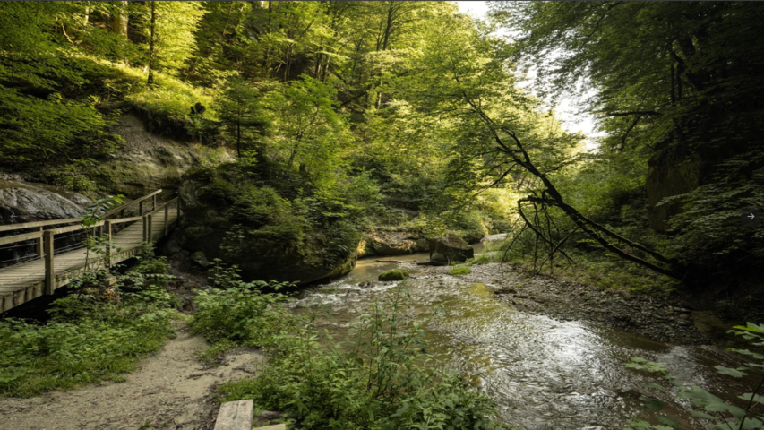 Ein Tag voller Natur & Kultur im Sensebezirk