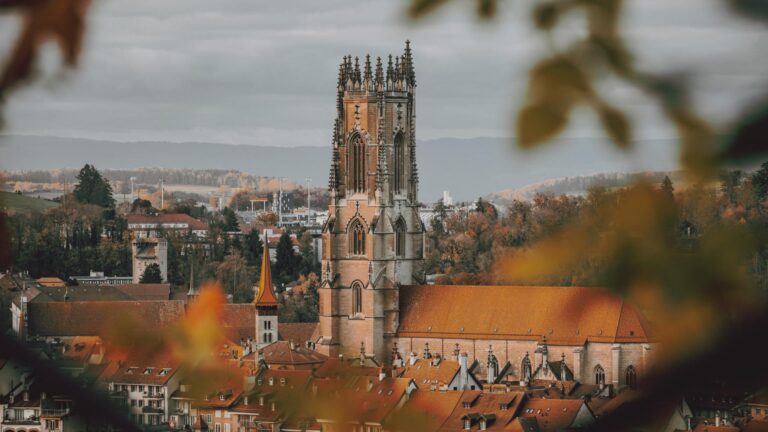 Above the rooftops of Freiburg | Cathedral Tower